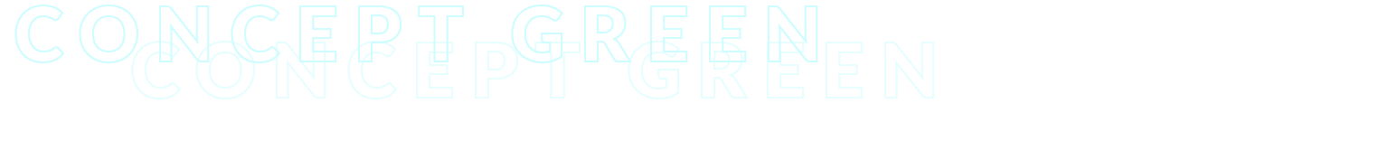 gedoppelte typo green concept1