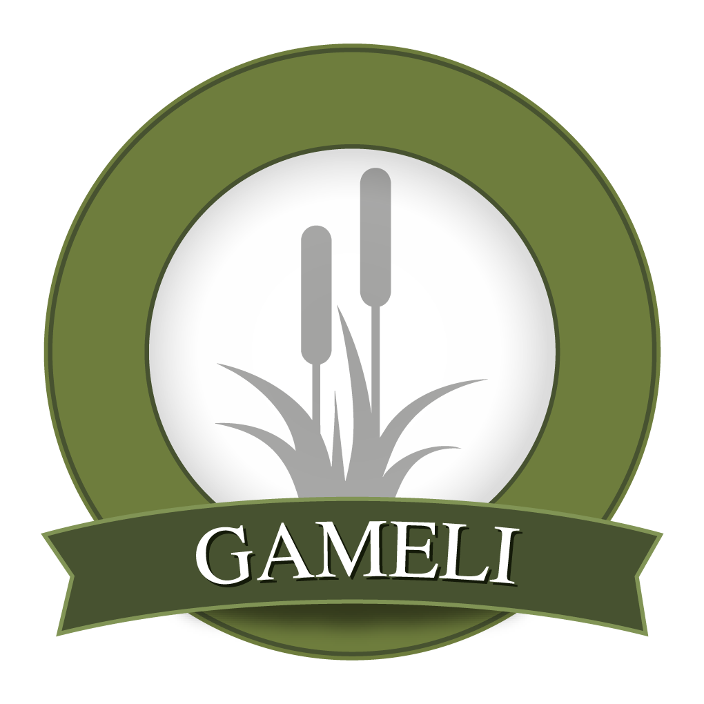Logo Galabau